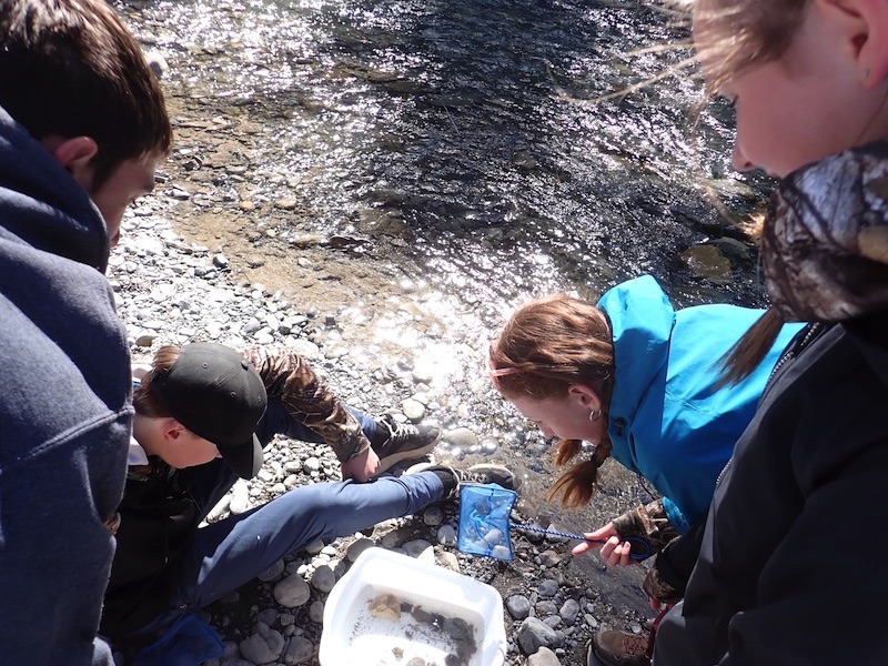 School field trip in the watershed